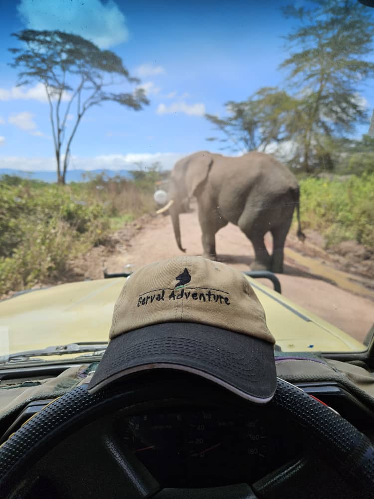 Serval Adventure Ltd