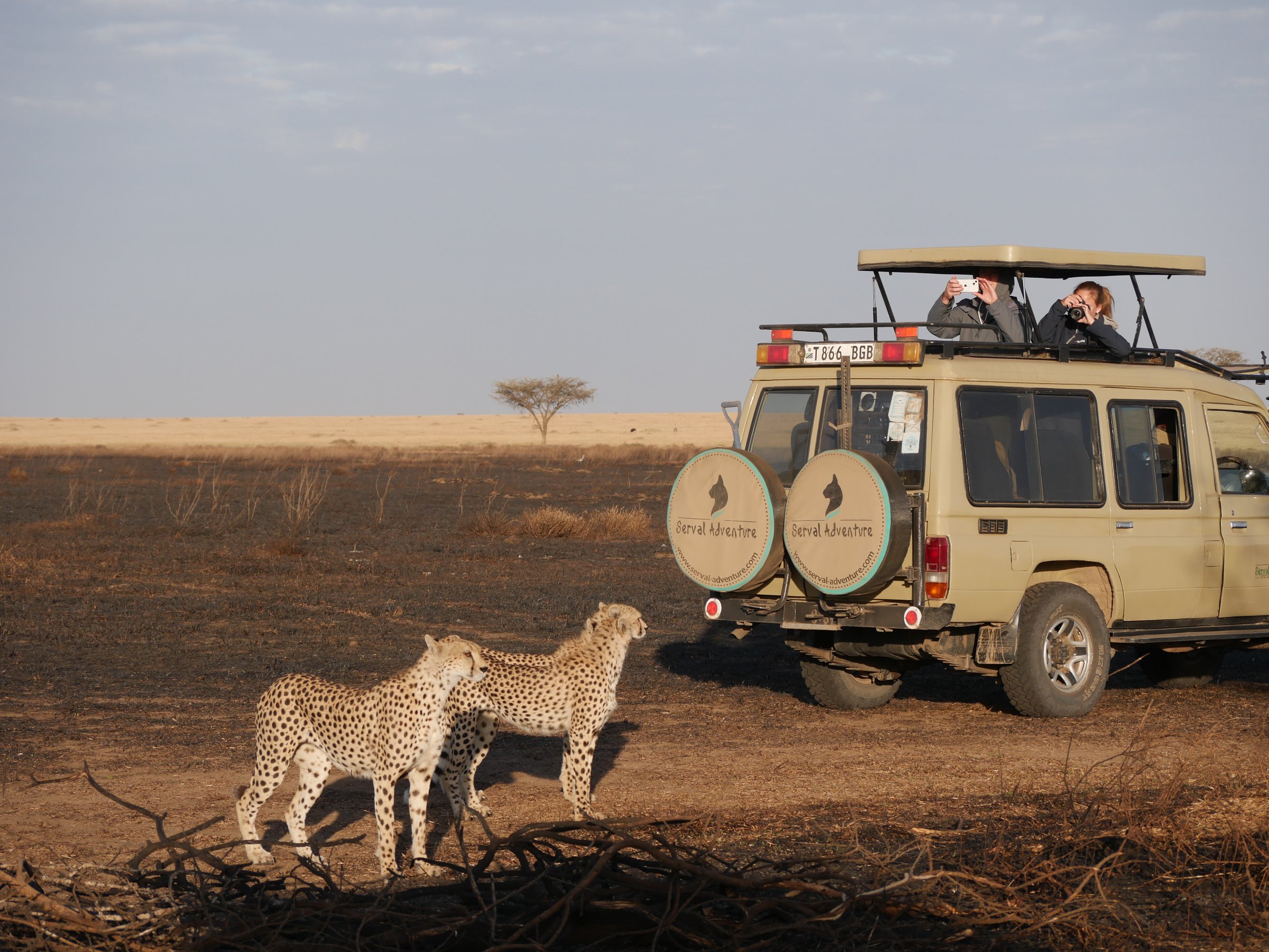 Serval Adventure Ltd
