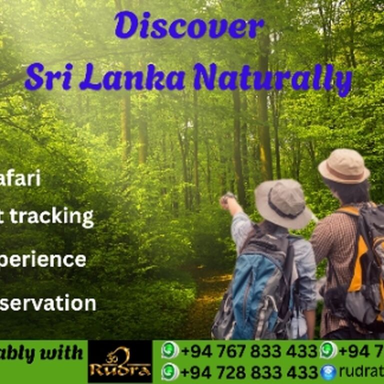 Rudra Tours