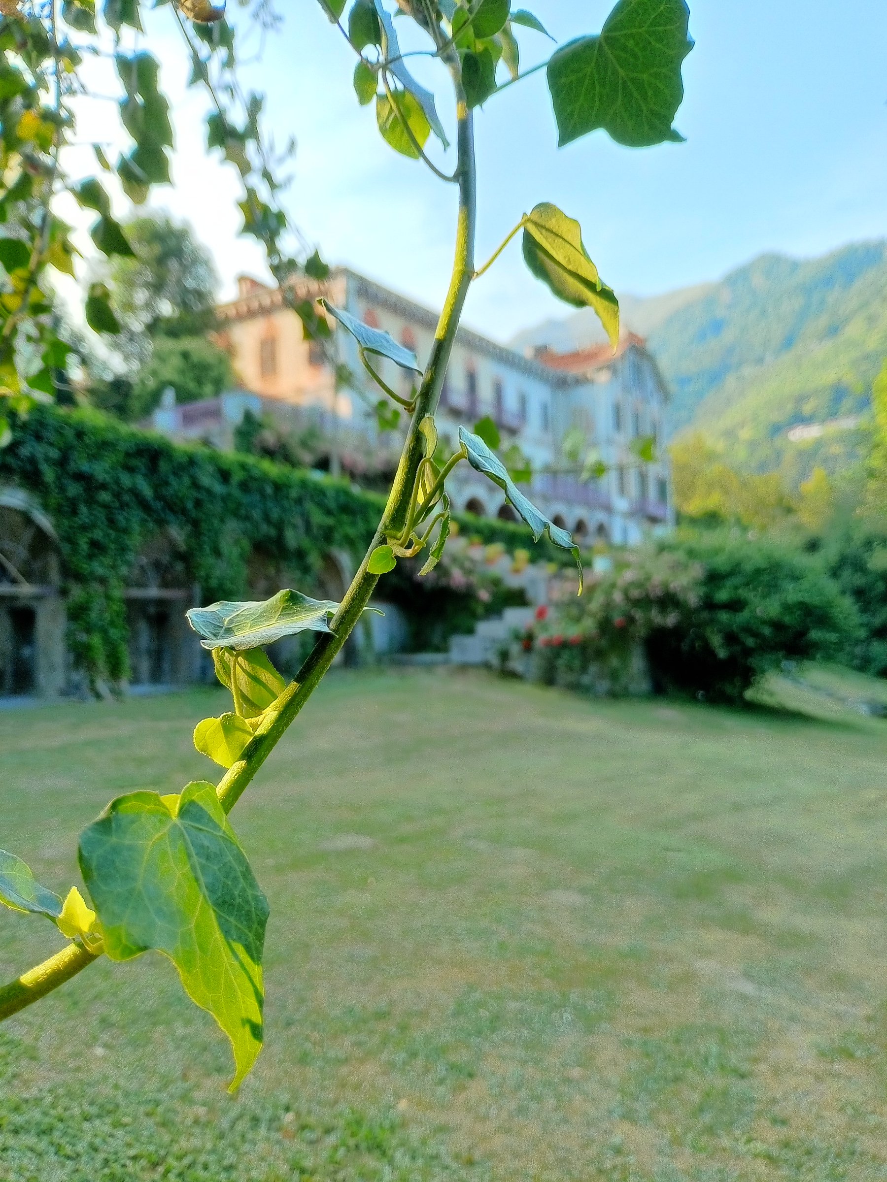 Parco di Villa Magnani
