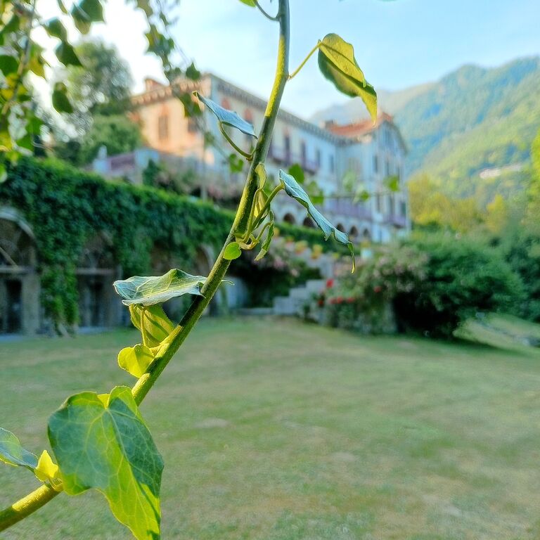 Parco di Villa Magnani