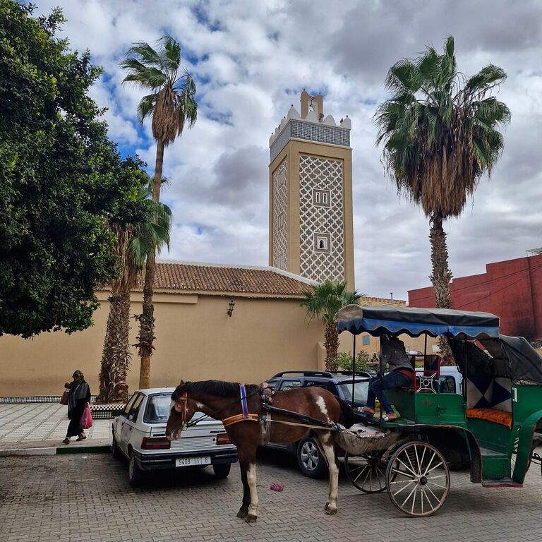 Bike taroudant discover