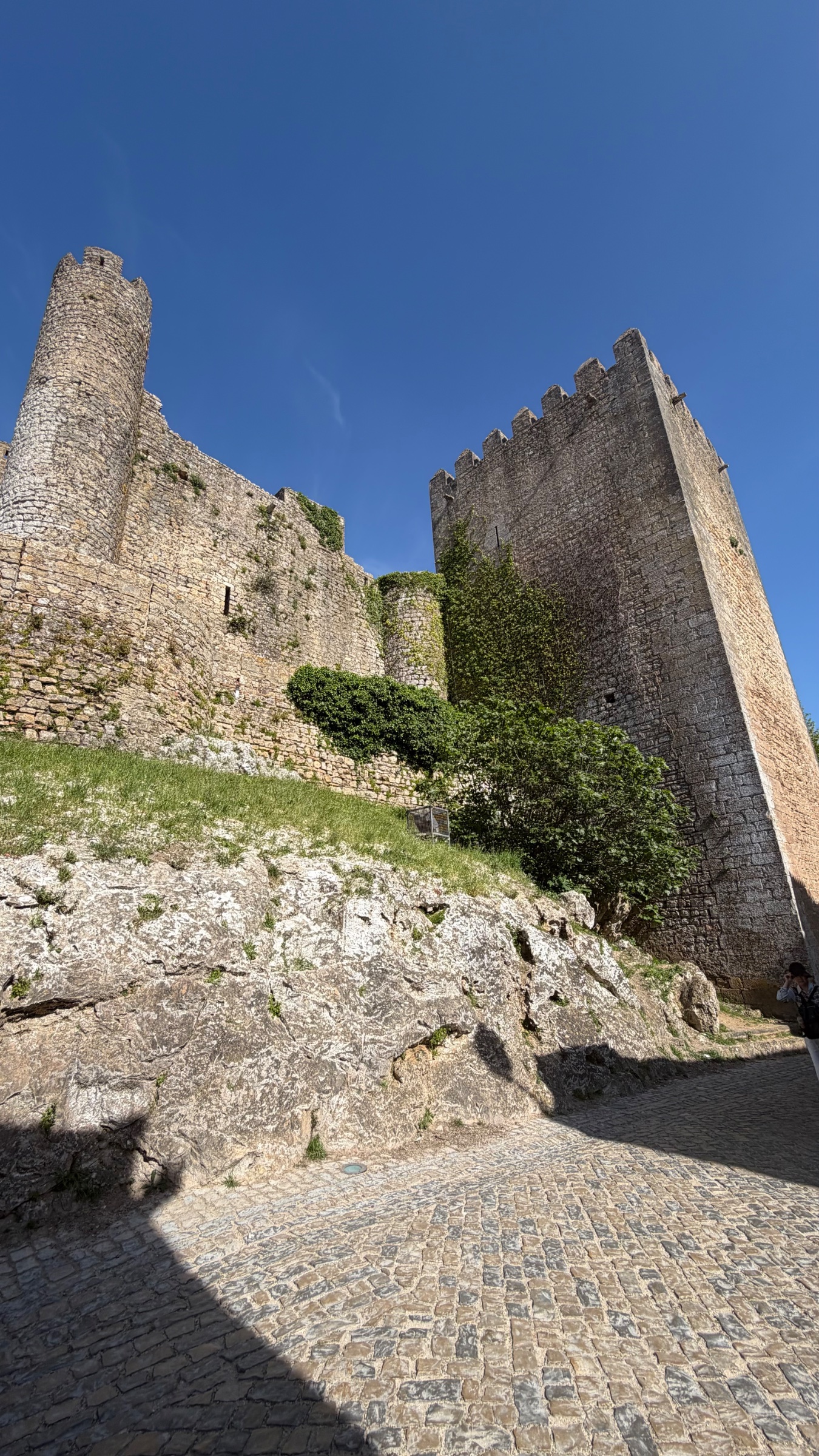 OLIVE TOURS