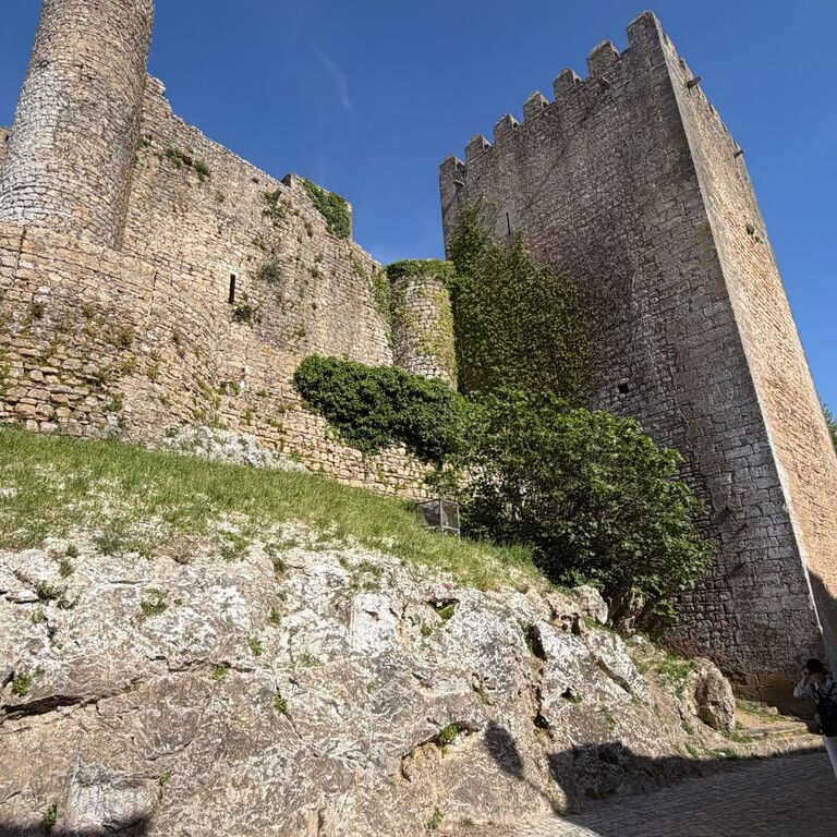 OLIVE TOURS