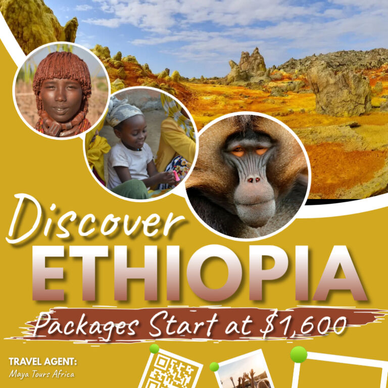 Maya Tours Africa