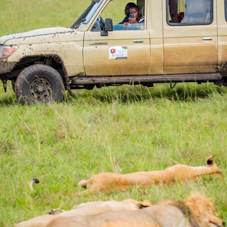 Simba Paka Safaris