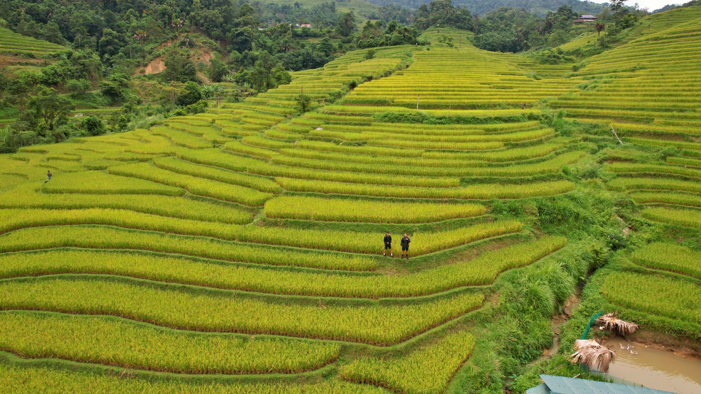 Ha Giang Trip