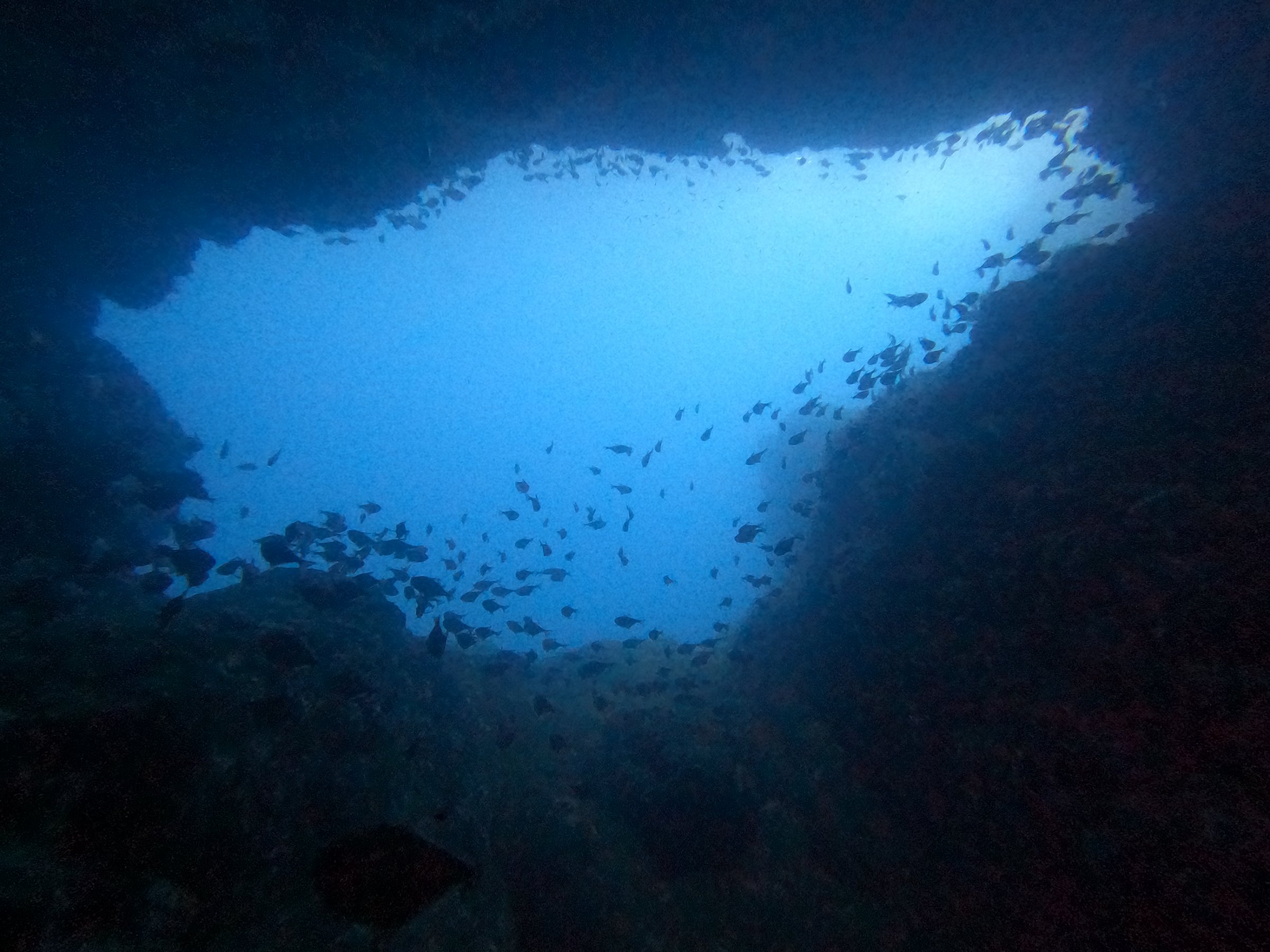 Deep Aqua Dive Center