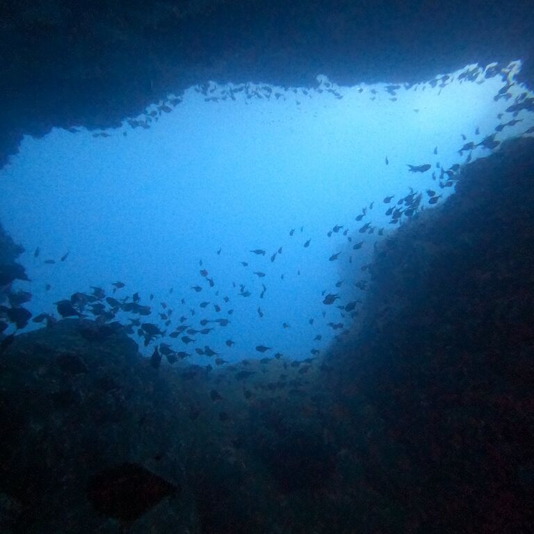 Deep Aqua Dive Center