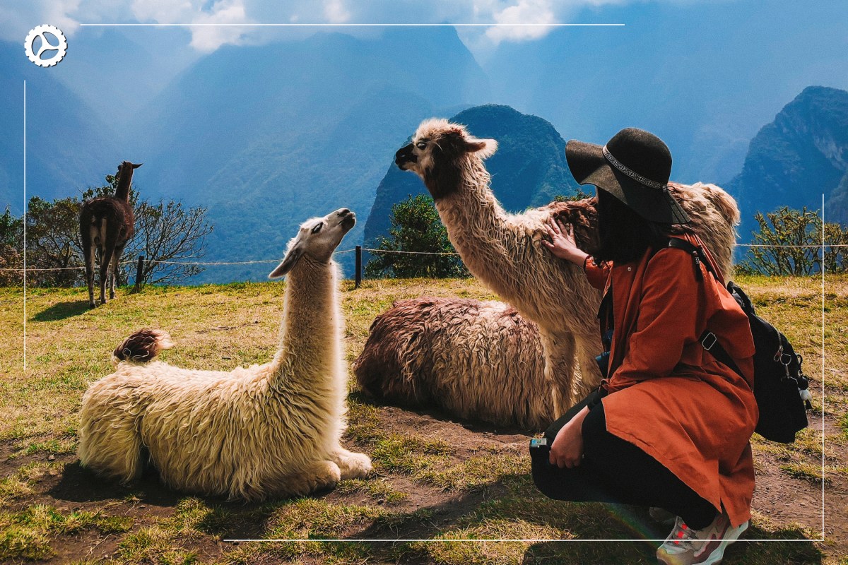 Conde Travel Adventures