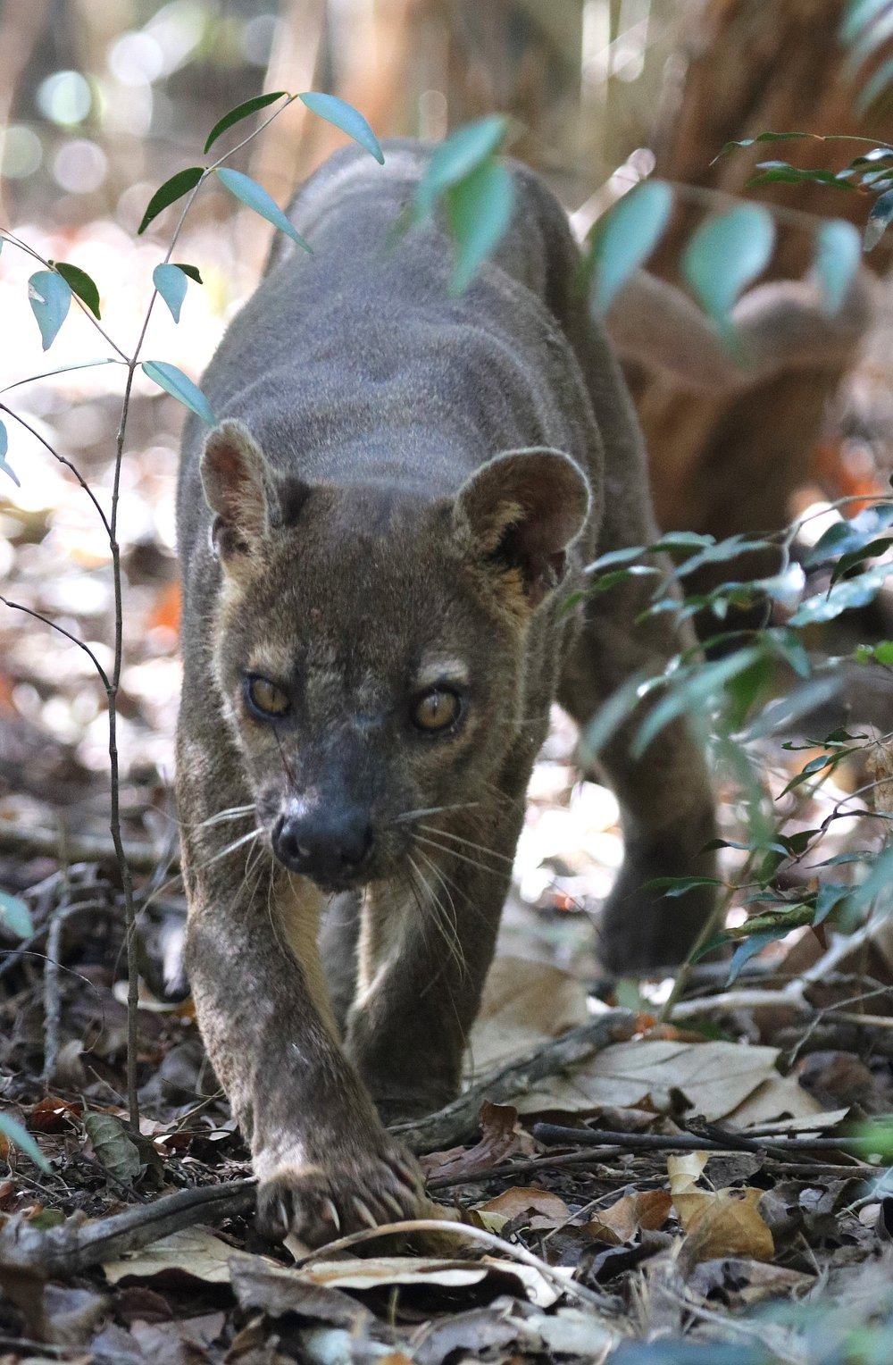 Escale Voyages Madagascar