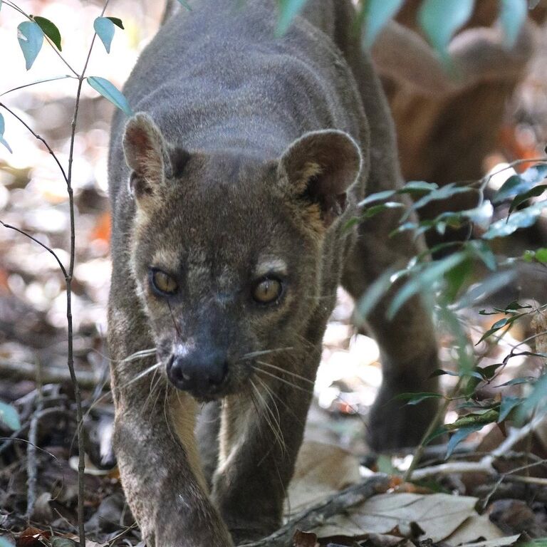 Escale Voyages Madagascar