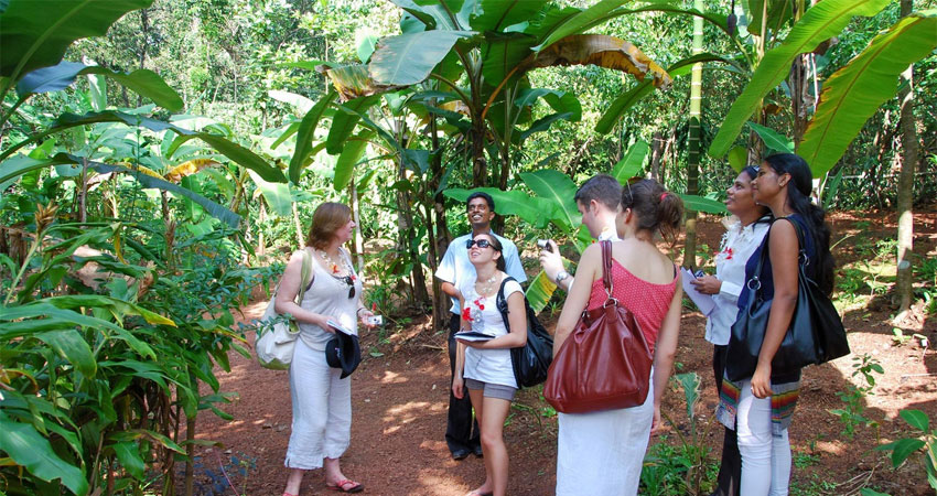 Taj Voyages Tour