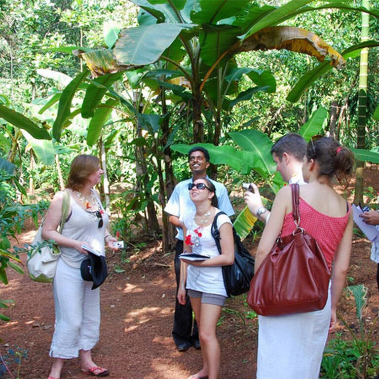 Taj Voyages Tour