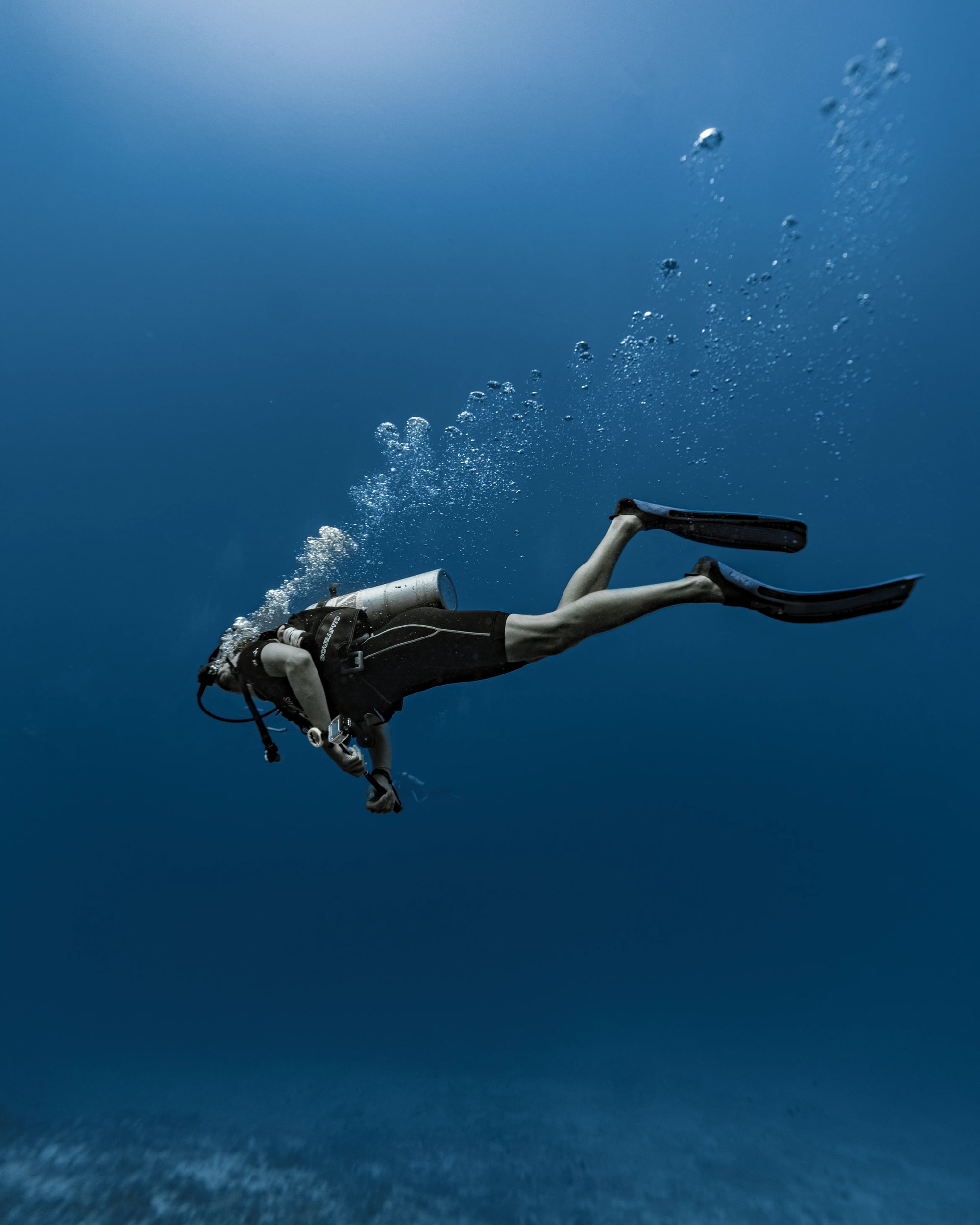 DiveOceanus