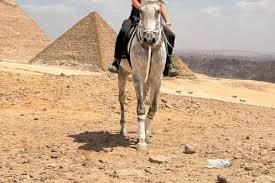 Horseback tour around the pyra