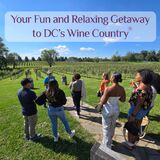 Vineyard Voyages