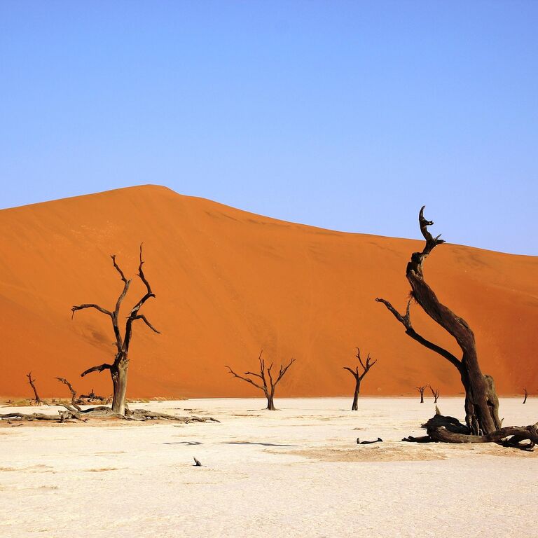 Jamiel Safaris