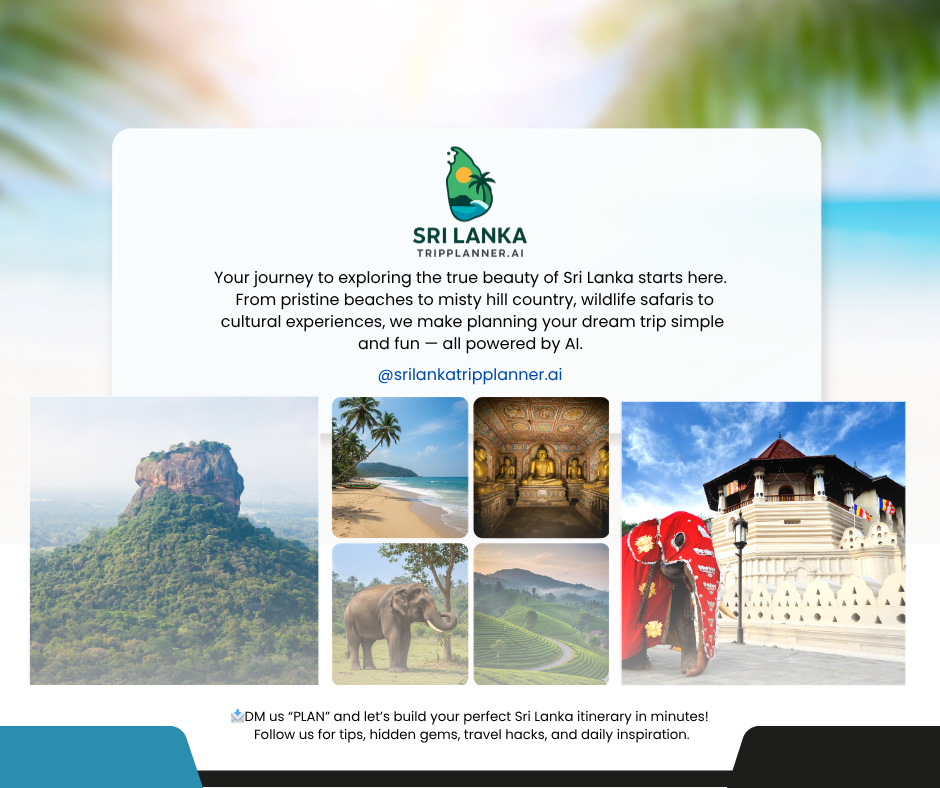 Srilanka Tripplanner AI