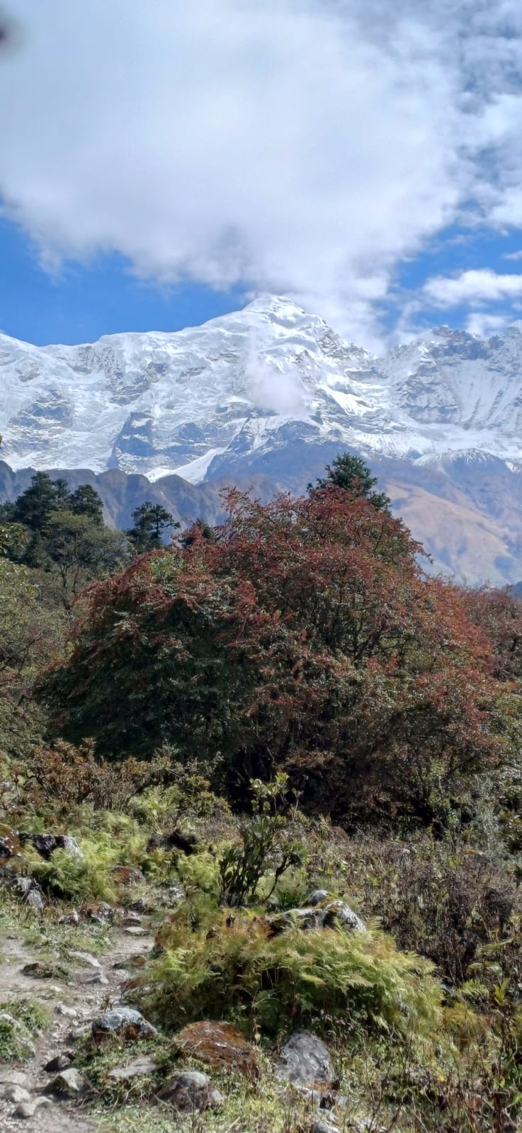 Nepal Yetiraj Treks Pvt.Ltd