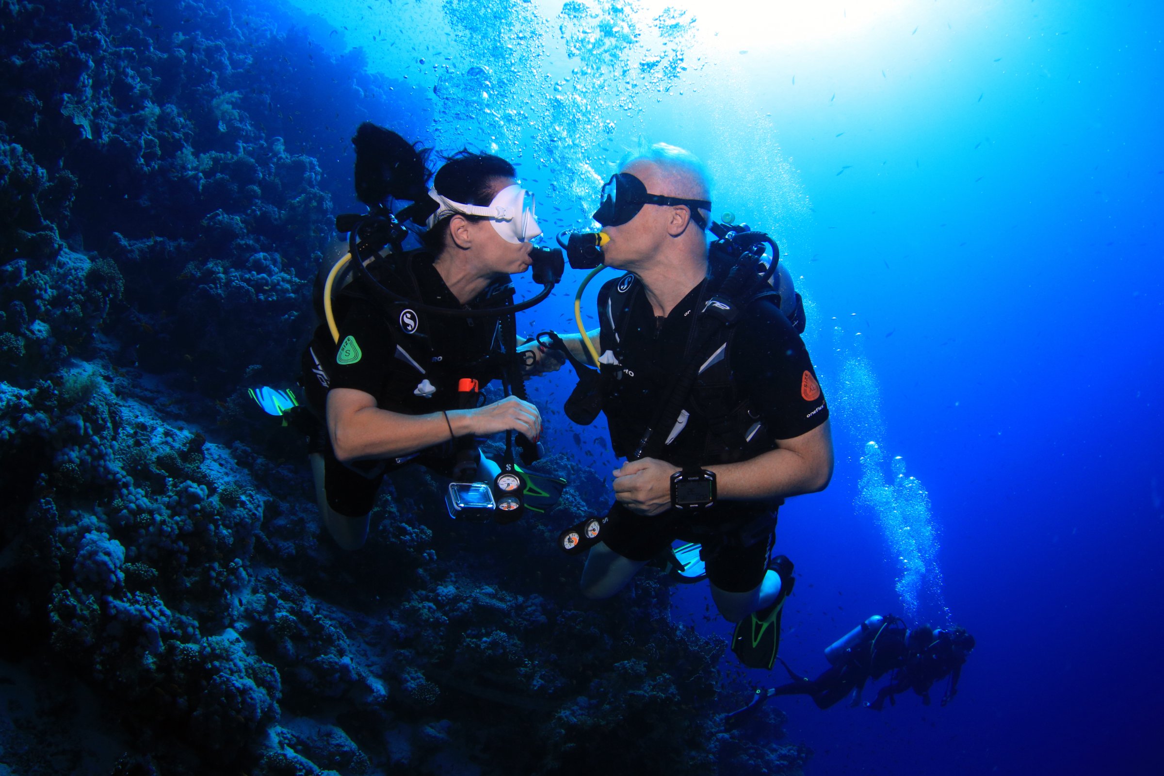 Sinai Rose Dive Center
