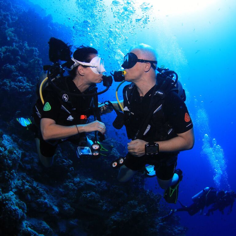 Sinai Rose Dive Center
