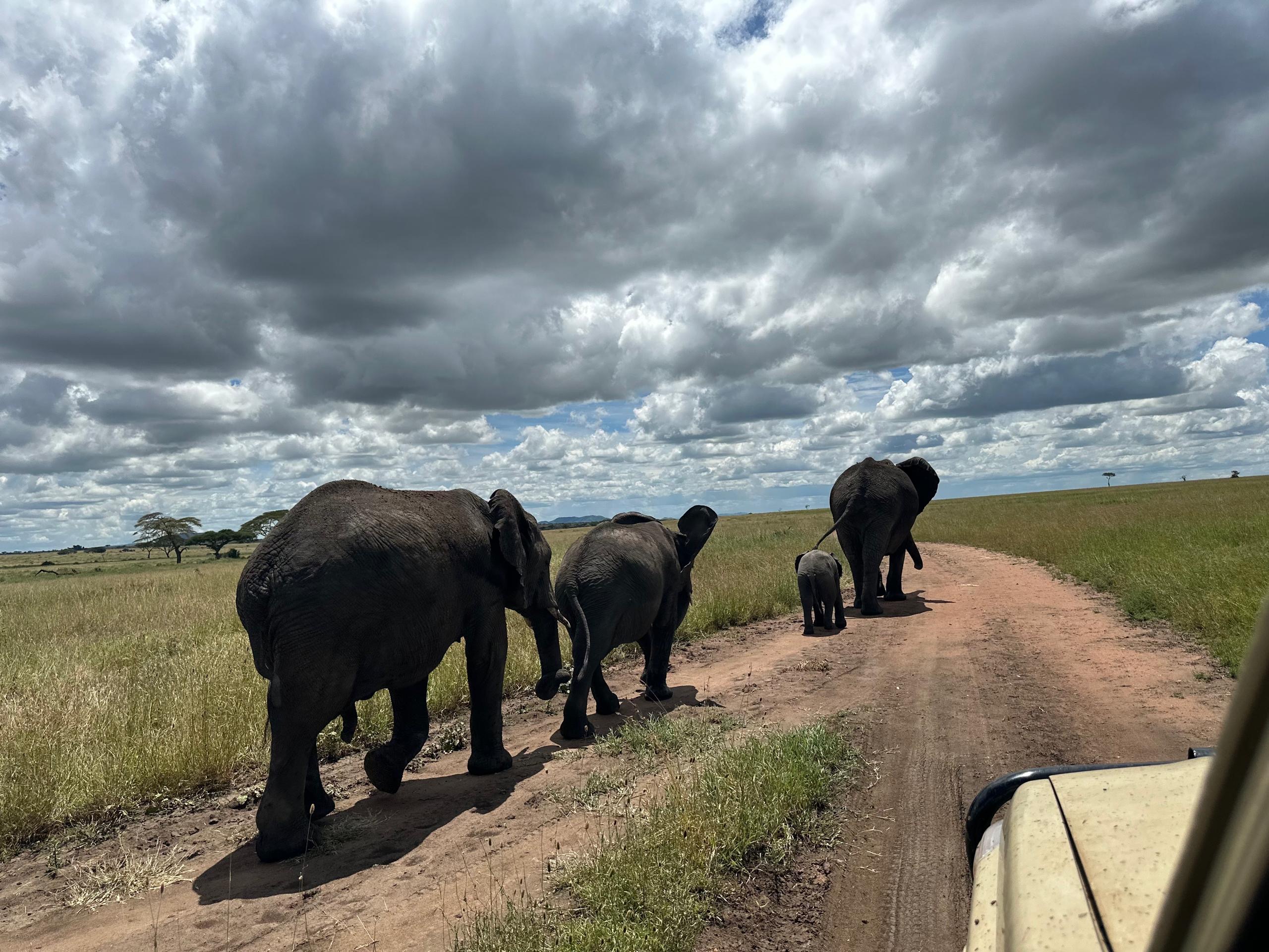 Zanzibar 2 Safaris Expedition