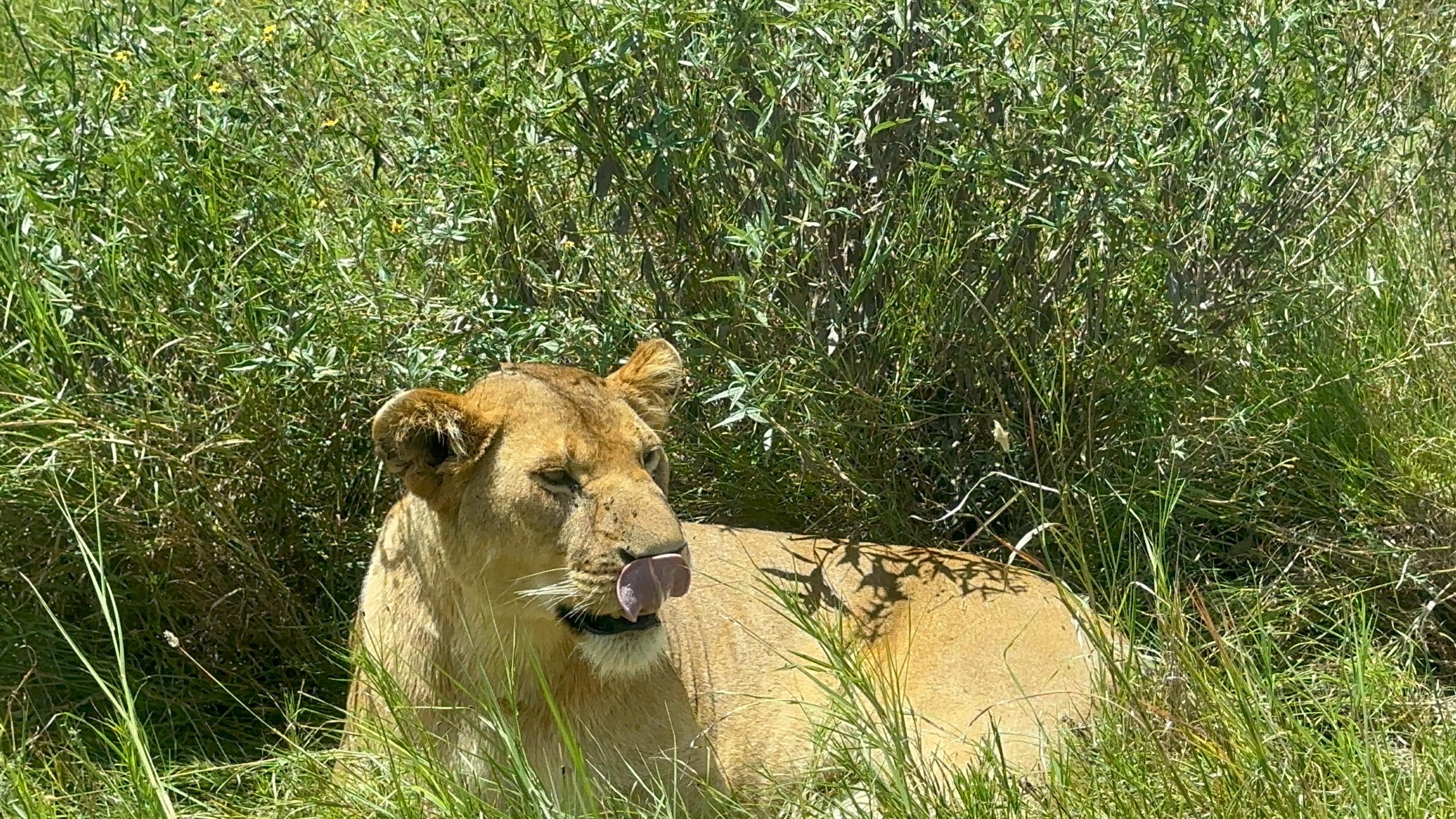 Zanzibar 2 Safaris Expedition