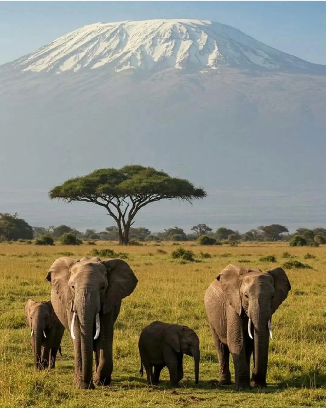 Kalsands Travel and Tours