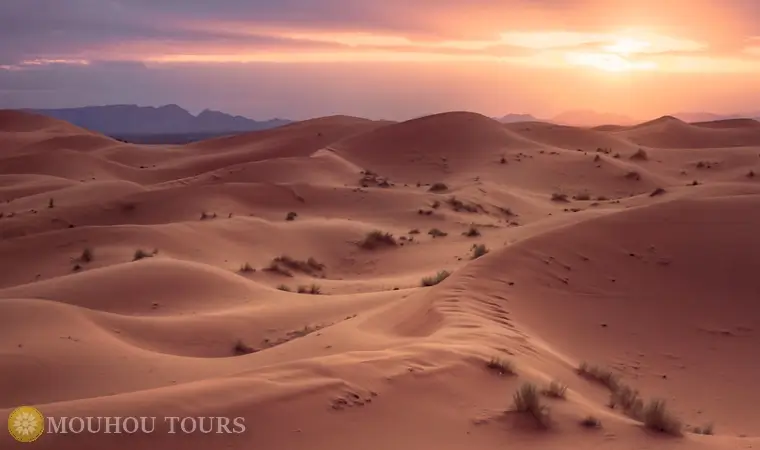 Mouhou Tours