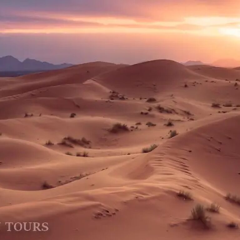 Mouhou Tours