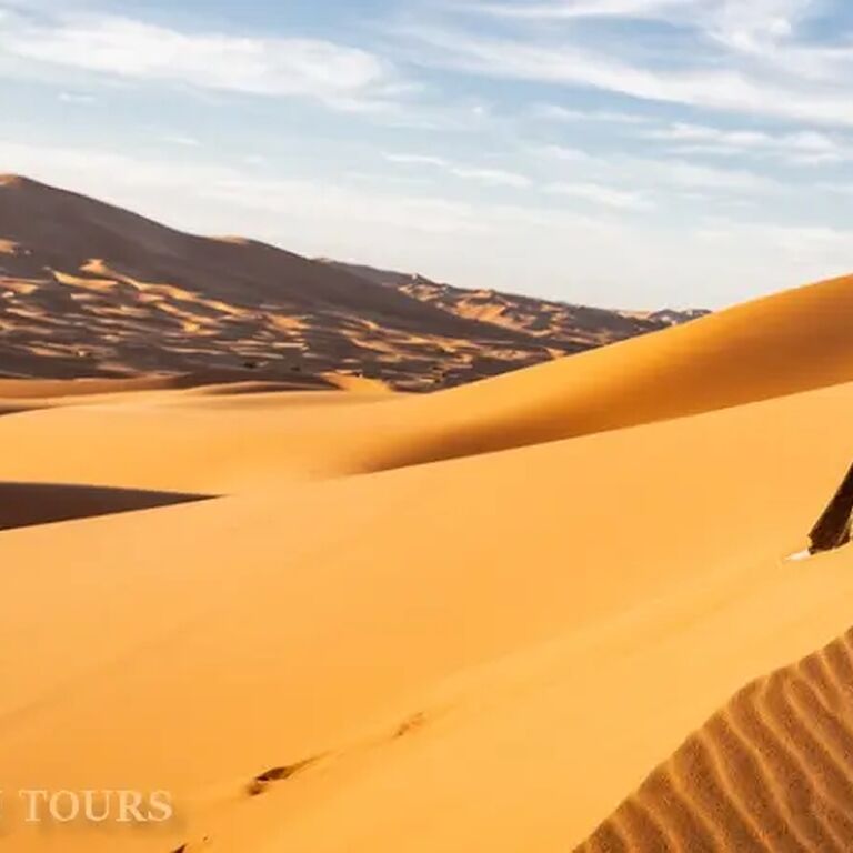 Mouhou Tours