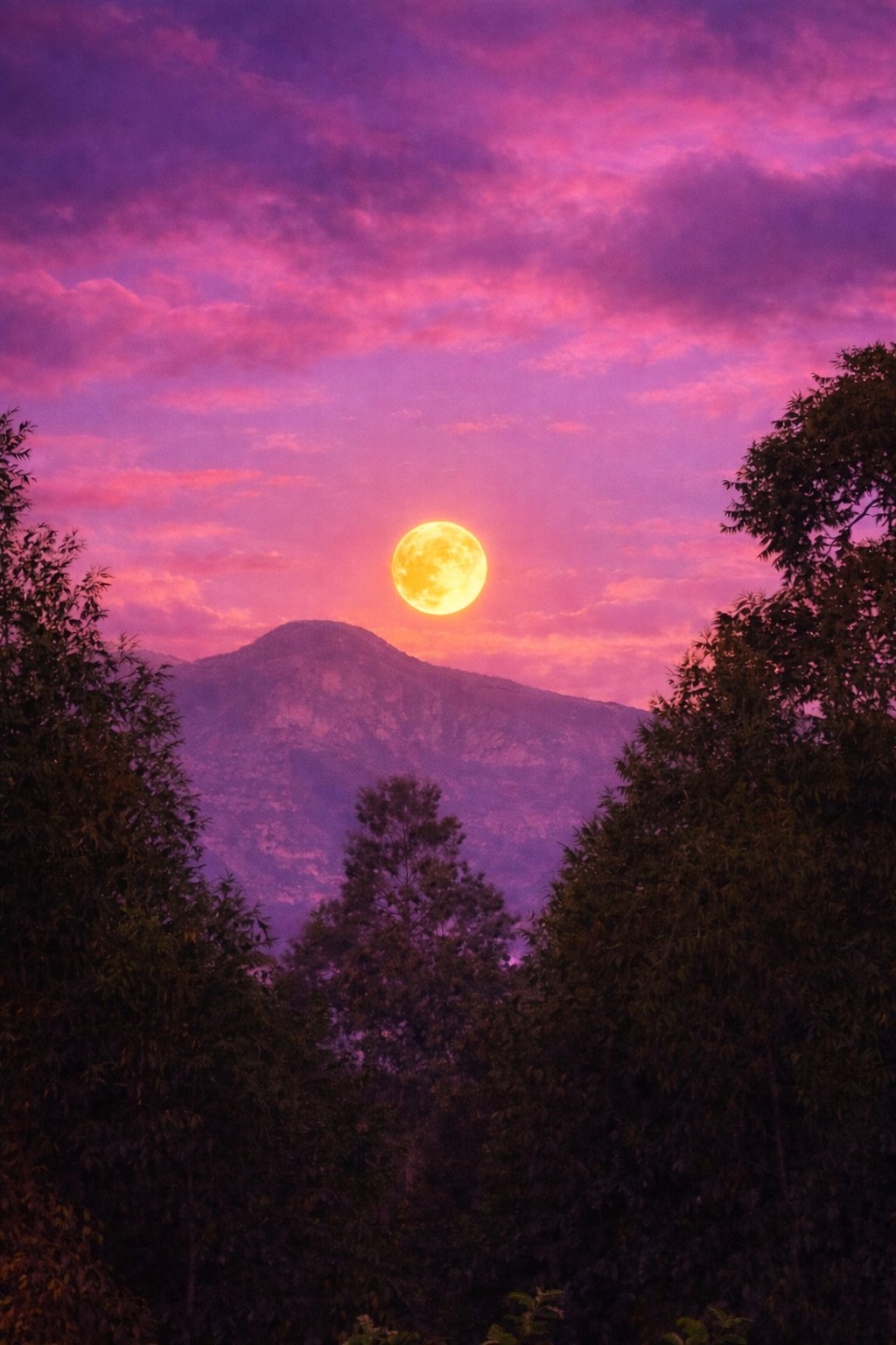 pic