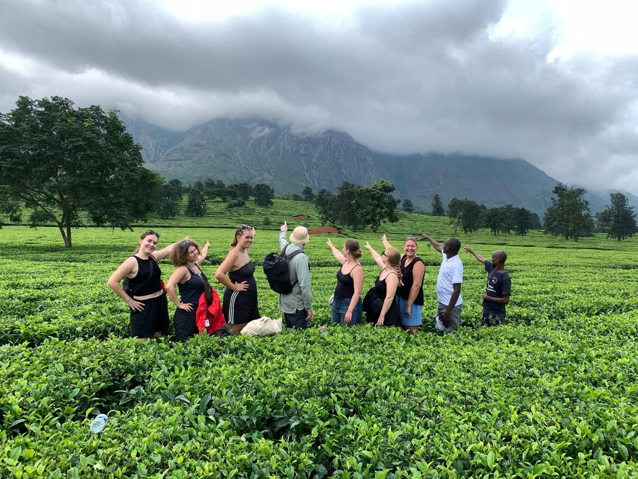 Fort hills tours mbeya