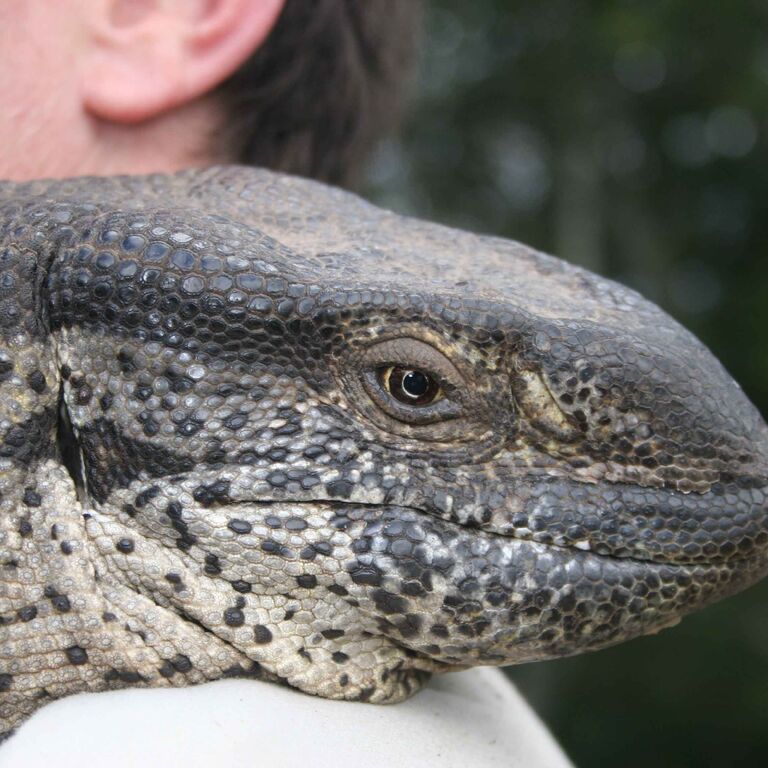 Lawnwood Snake Sanctuary