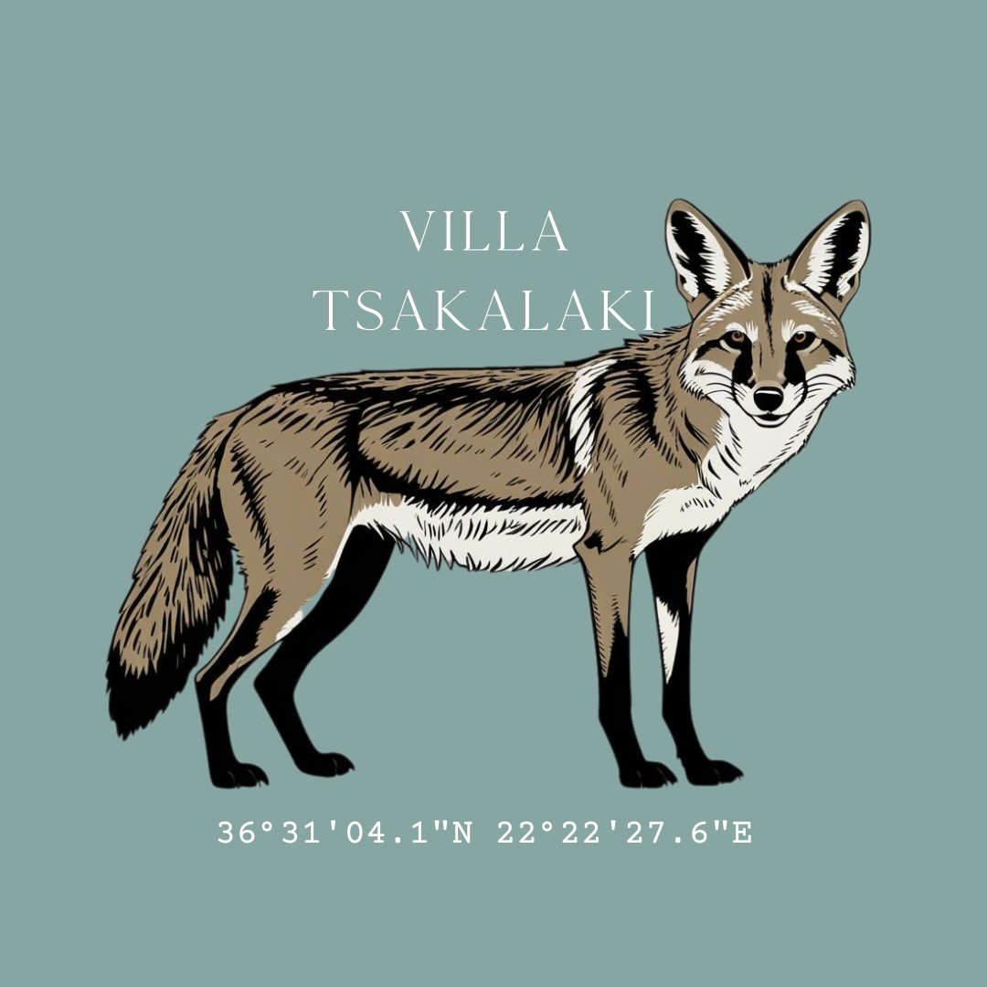 Villa Tsakalaki