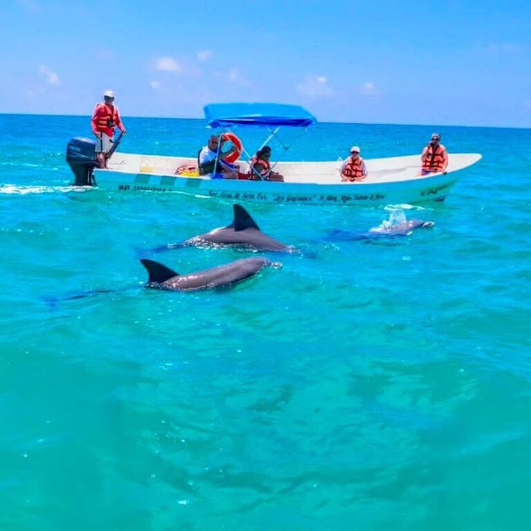 Aventuremos Rio Lagartos
