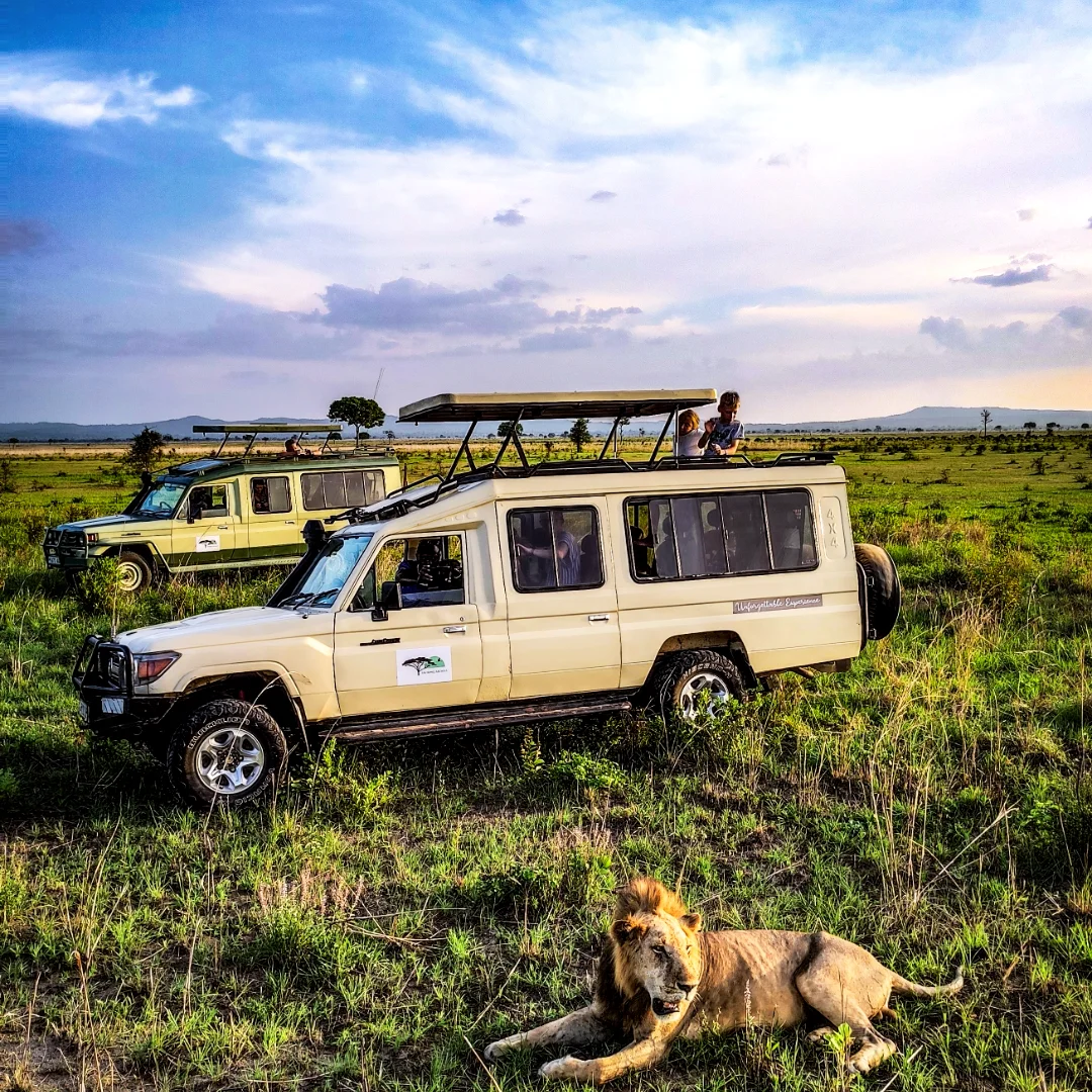 Untamed Routes Africa