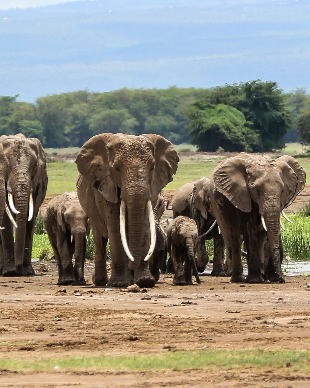 Untamed Routes Africa