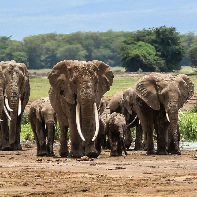 Untamed Routes Africa