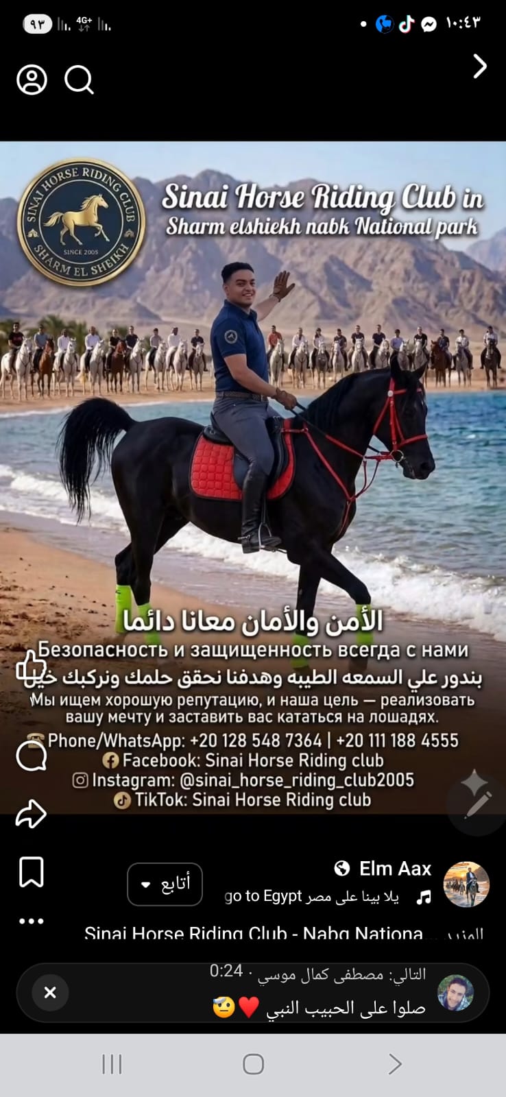 Shenouda ElmAax