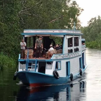 Orangutan Borneo River Tour