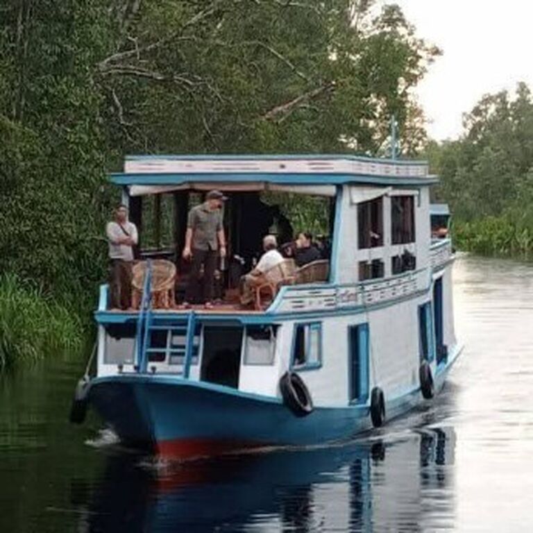 Orangutan Borneo River Tour