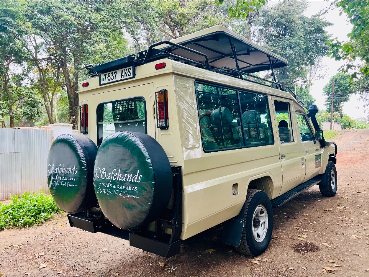 Safehands Tour & Safaris