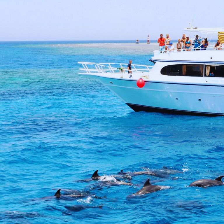 Dolphin House Hurghada