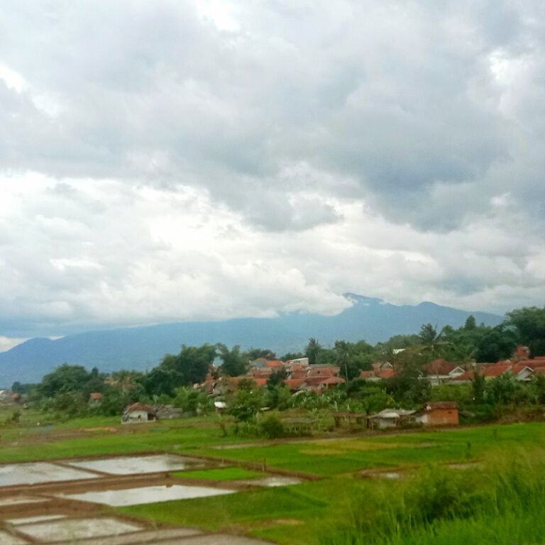 Sheria