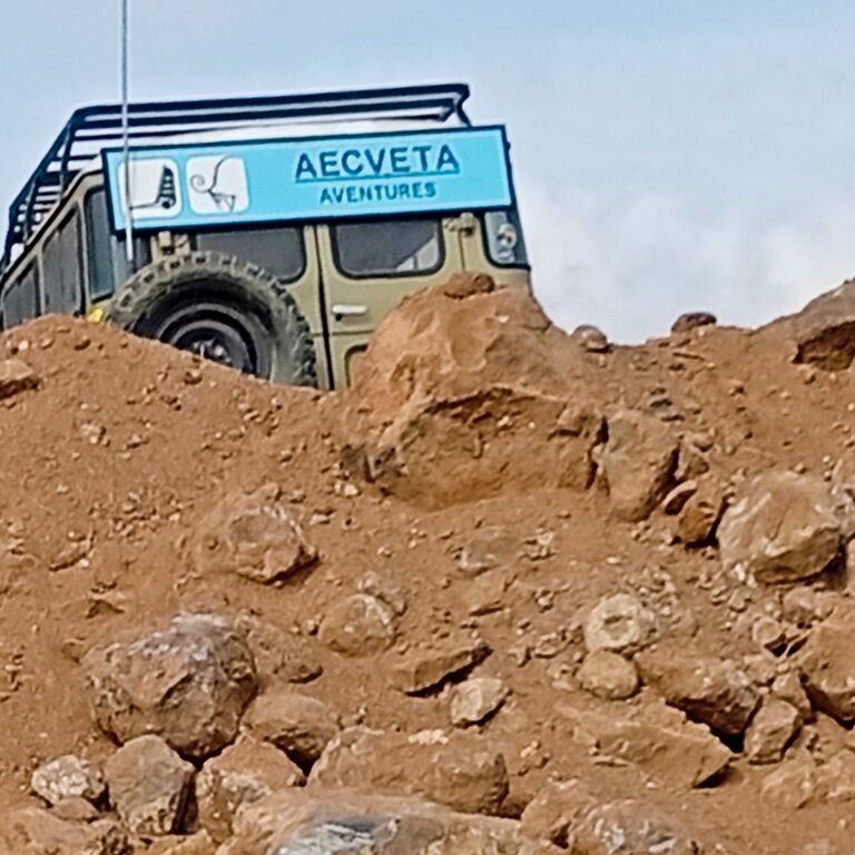 AECVETA