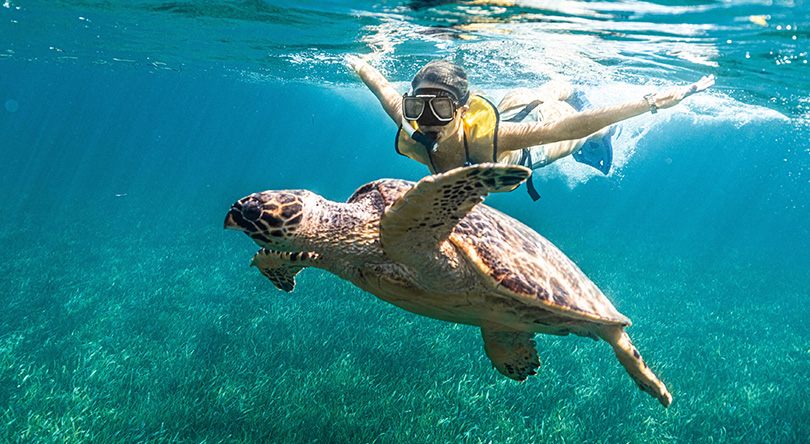 AGENCIA Y TRANSPORTE TURISTICO CANCUN RIVIERA MAYA