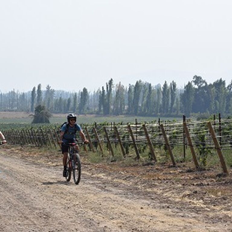 G BIKE TOURS