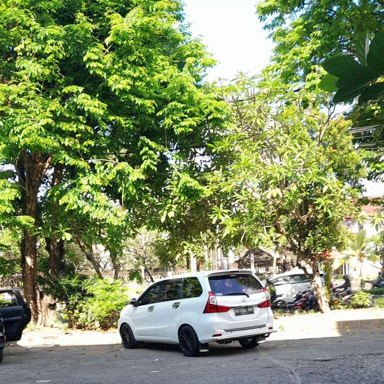 Adi Susana I gede